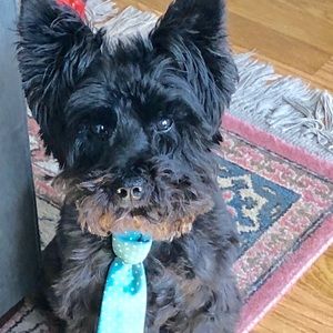 Meet your Posher, Sally